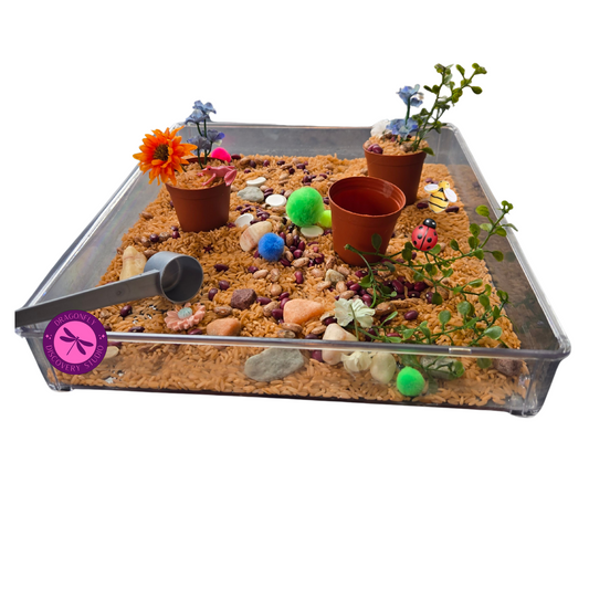 Froggy's Garden Adventure Rice & Bean Sensory Playset