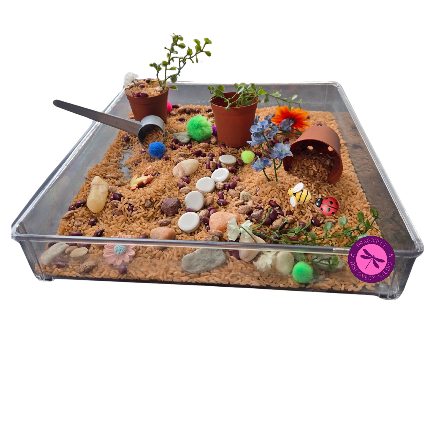 Froggy's Garden Adventure Rice & Bean Sensory Playset