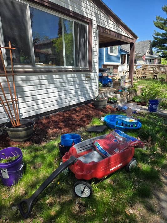 Spring Reflections: Growth, Change, & New Beginnings