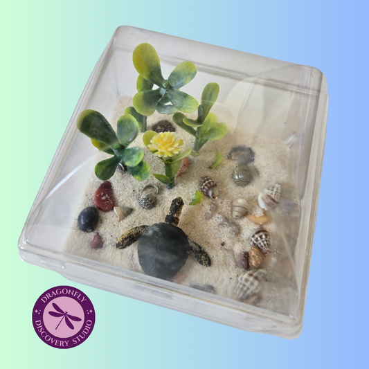 Mini Reef Retreat