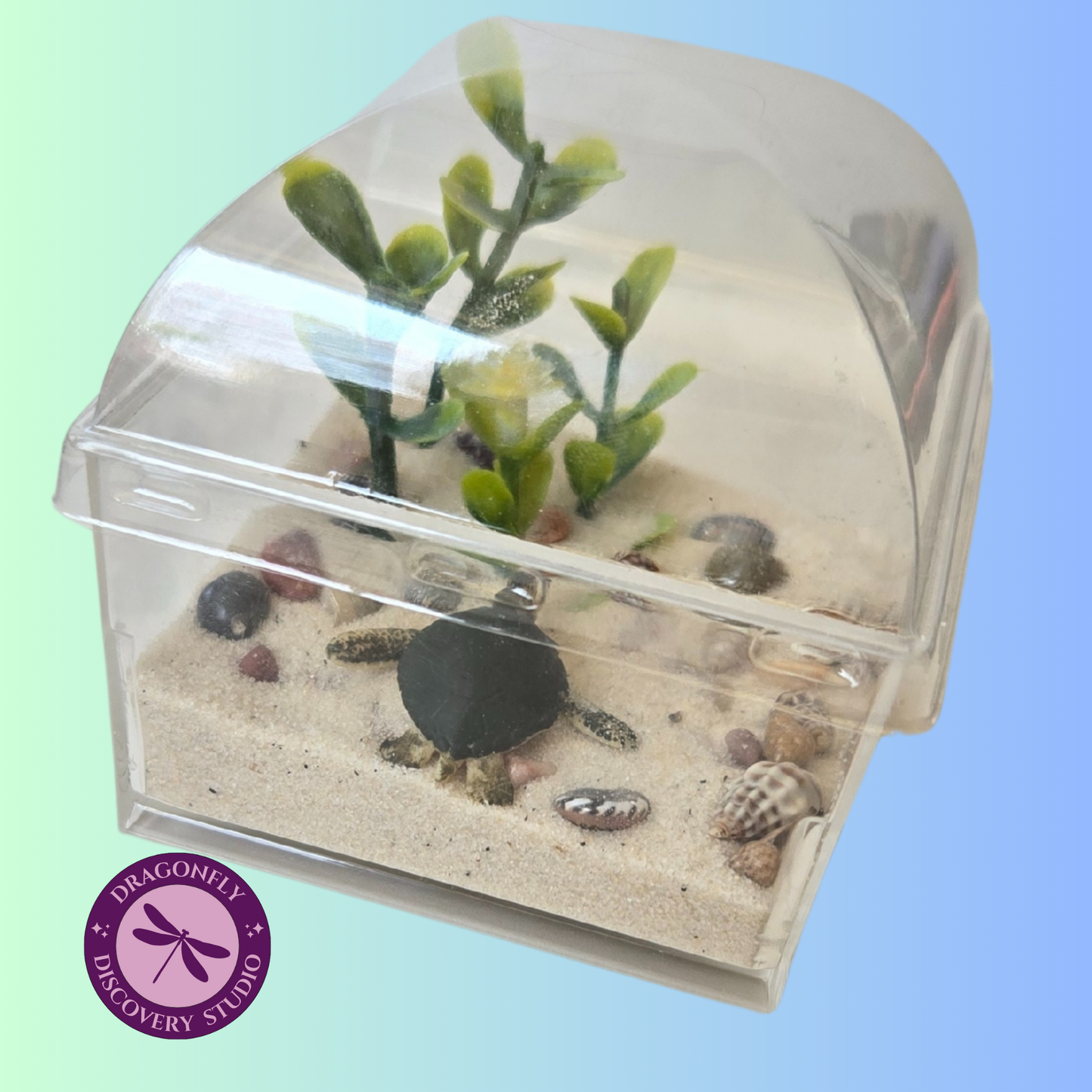 Mini Reef Retreat
