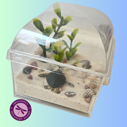 Mini Reef Retreat