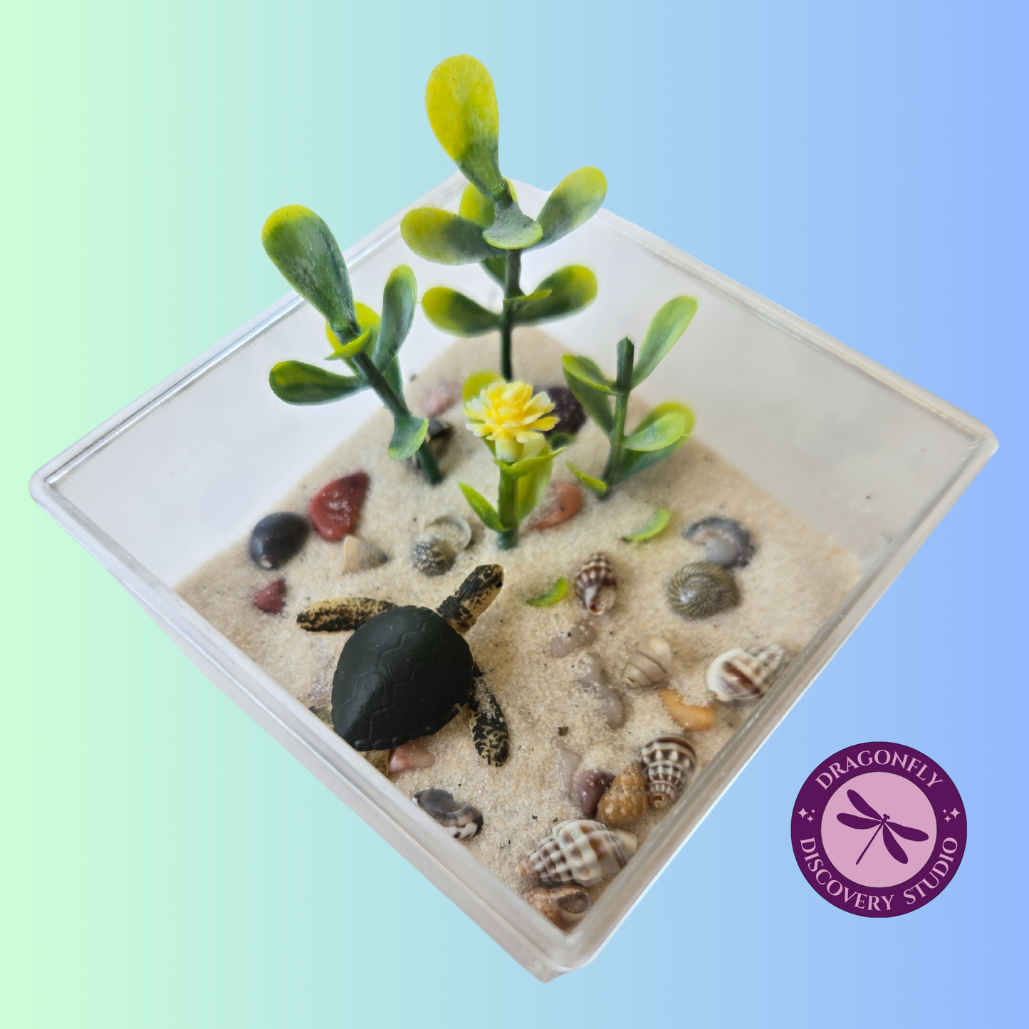 Mini Reef Retreat