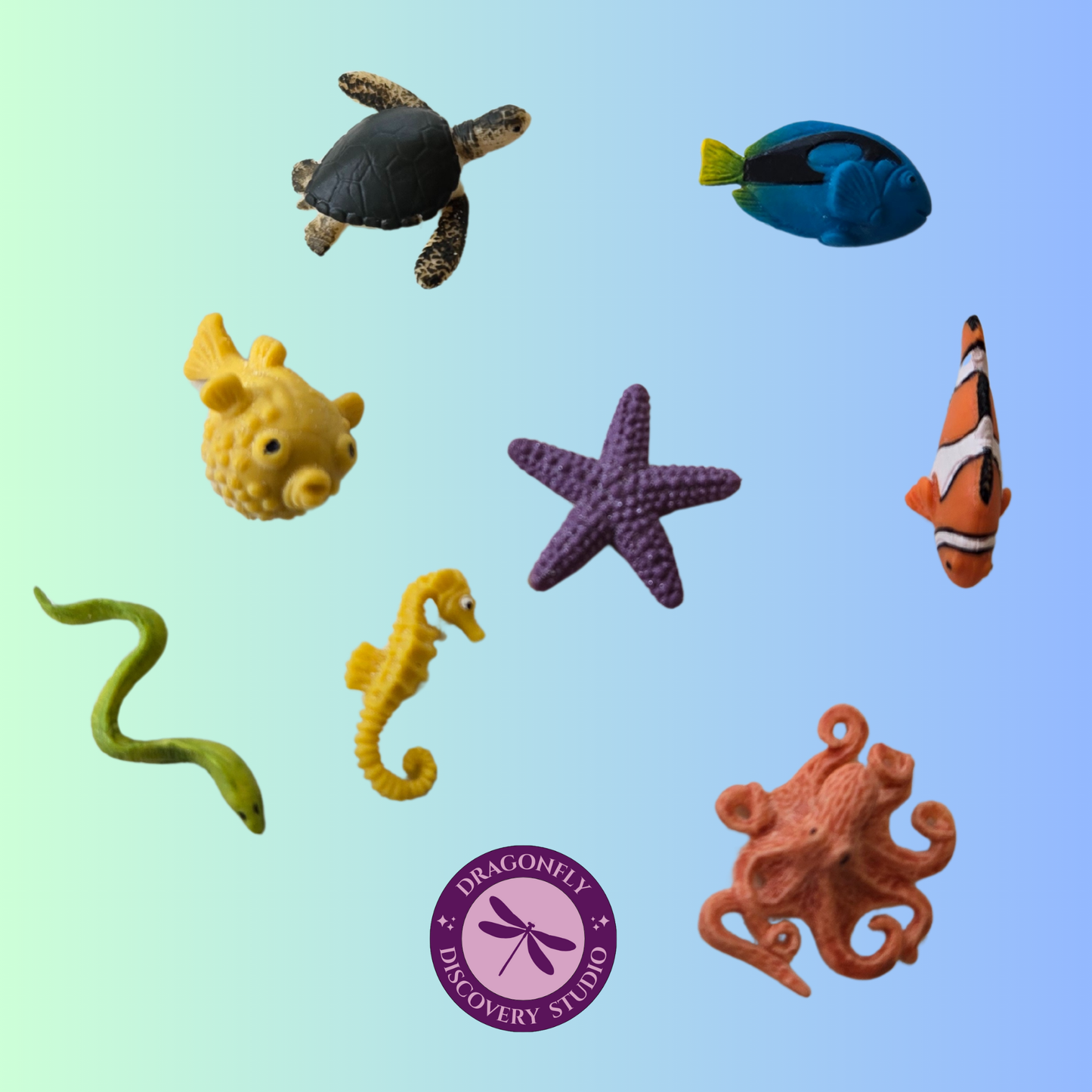 Mini Reef Retreat