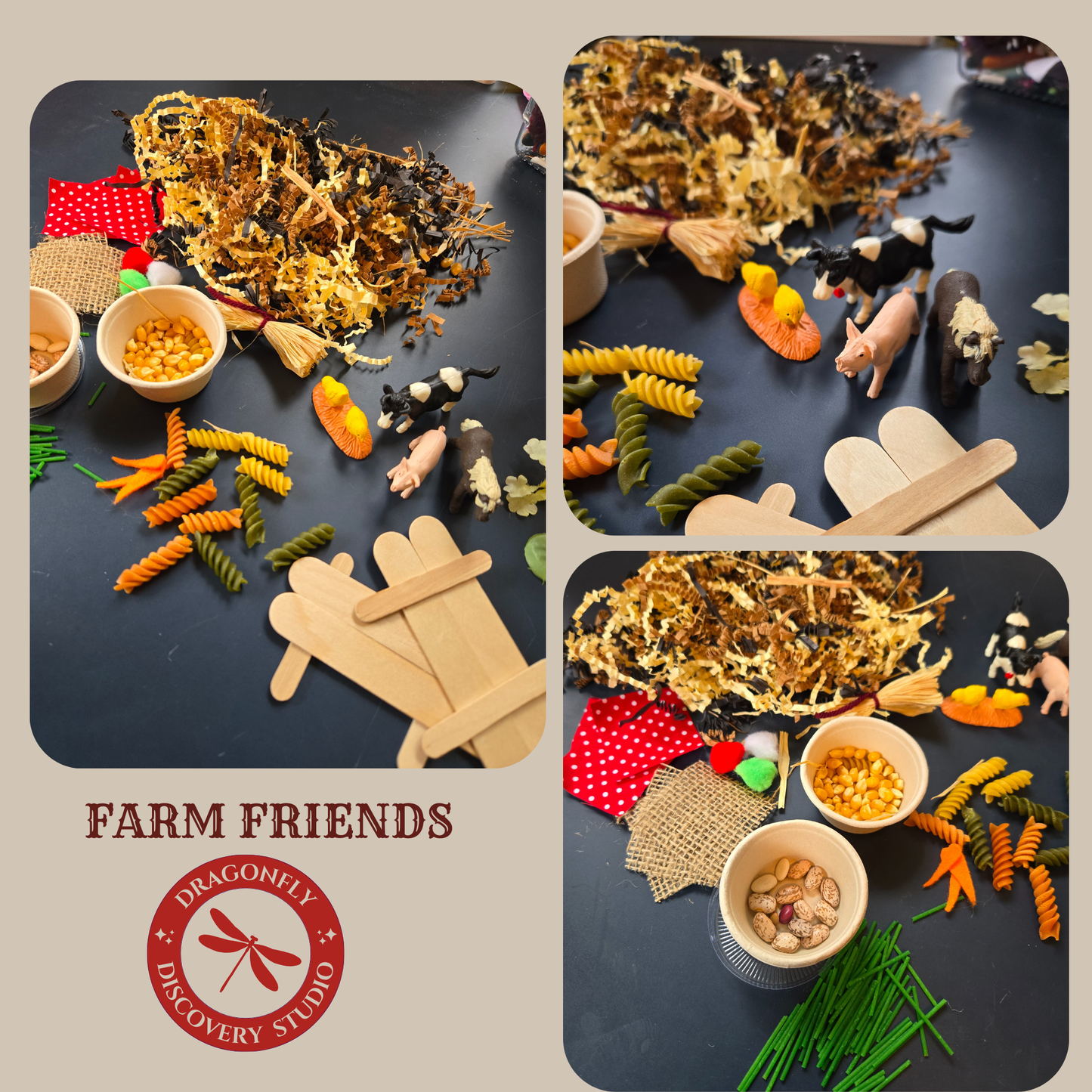 Farm Friends Sensory Playset